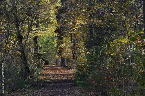 Herbst Landschaft im Park Breidings Garten in Soltau, Niedersachsen