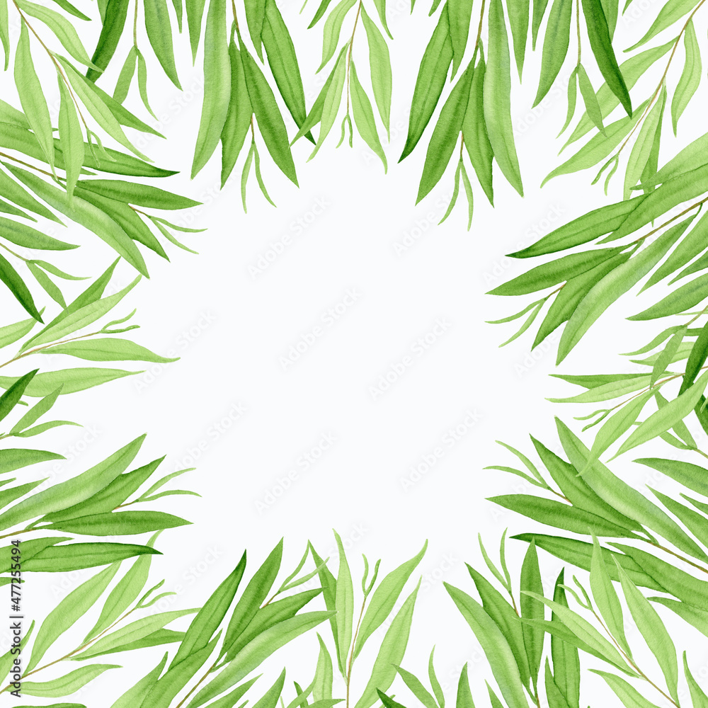 Watercolor square frame of willow green twigs on a white background.