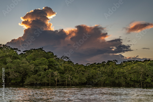 Reflection of a sunset by a lagoon inside the Amazon Rainforest Basin. The Amazon river basin comprises the countries of Brazil, Bolivia, Colombia, Ecuador, Guyana, Suriname, Peru and Venezuela