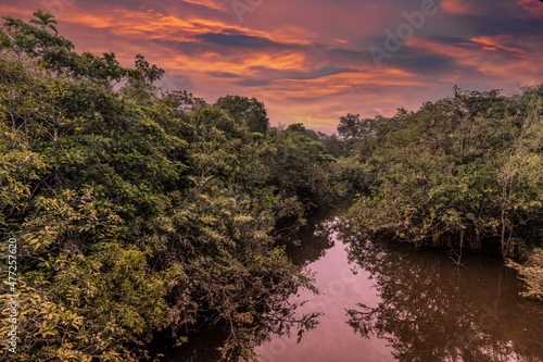 jungle in colombian green mountains, colombia, latin america. photo