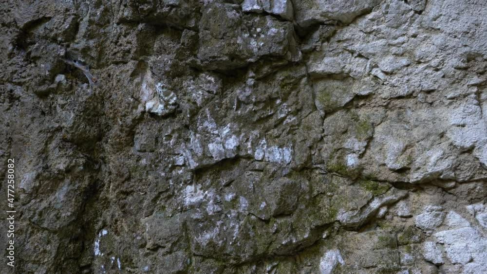 Close up view of limestone rock formations in Pokljuka Gorge, Slovenia. Amazing and pristine nature. Inside karst cave. Geological structure. Right pan Close up view of limestone rock formations in Pokljuka Gorge, Slovenia. Amazing and pristine nature. Inside karst cave. Geological structure. Right pan