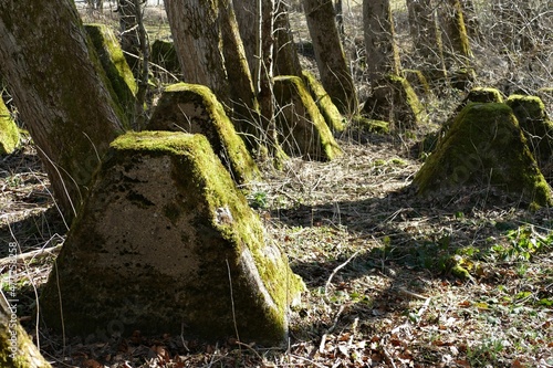 Westwall bei Simmerath in der Eifel photo