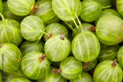 Wallpaper Mural Gooseberry green berries food background. Ripe summer berries Torontodigital.ca