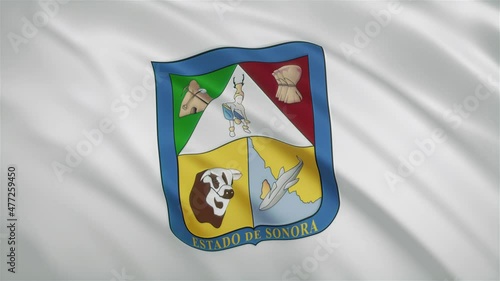 Sonora - Mexican State Waving Flag