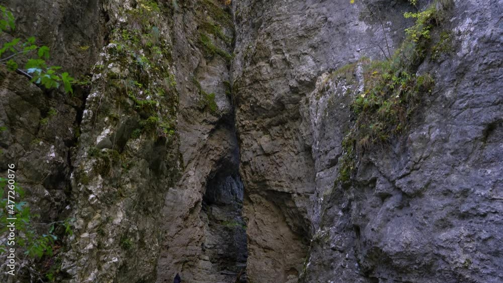 Trail between two huge limestone rocks. Pokljuka Gorge located in the Triglav National Park, Slovenia. Amazing and pristine nature. Glacial valley. Hiking in wilderness. Tilt up Trail between two huge limestone rocks. Pokljuka Gorge located in the Triglav National Park, Slovenia. Amazing and pristine nature. Glacial valley. Hiking in wilderness. Tilt up