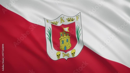 Tlaxcala - Mexican State Waving Flag