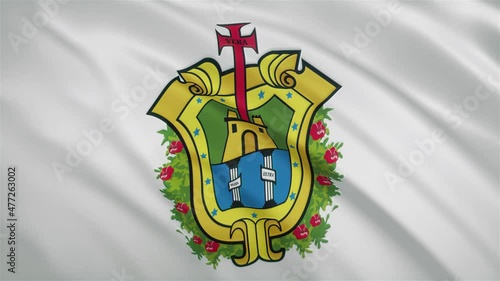Veracruz - Mexican State Waving Flag