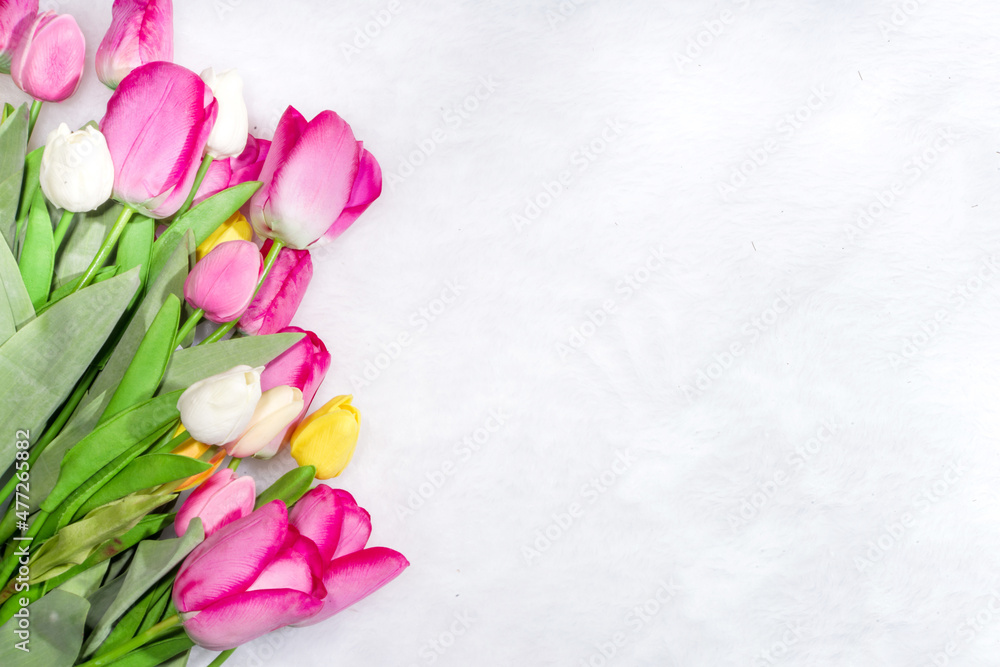 Rose tulip flowers with gift Rose tulip flowers with gift