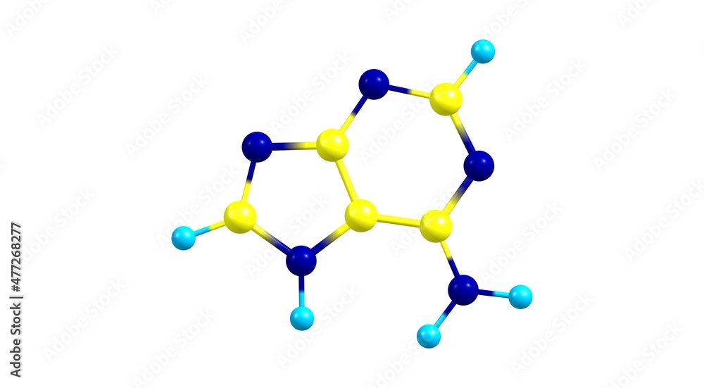 Adenine molecular structure isolated on white Adenine molecular structure isolated on white
