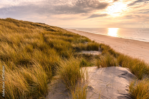 Les dunes de Quend-plage couvertes d'oyats © Alonbou