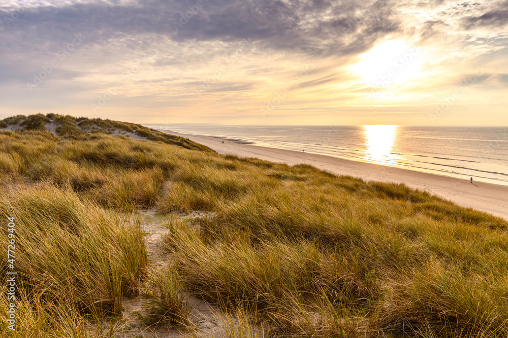 Les dunes de Quend-plage couvertes d'oyats