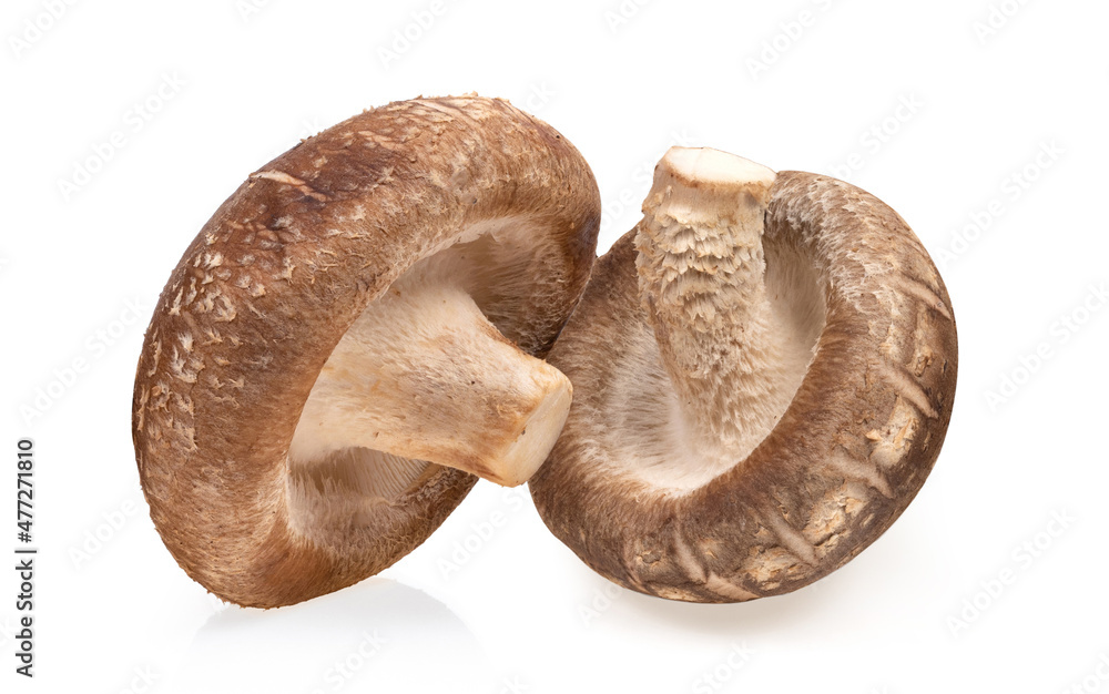 Shiitake Mushroom isolated on white Shiitake Mushroom isolated on white