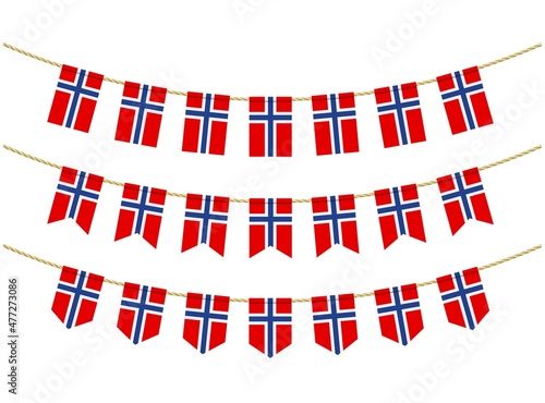 Norway flag on the ropes on white background. Set of Patriotic bunting flags. Bunting decoration of Norway flag
