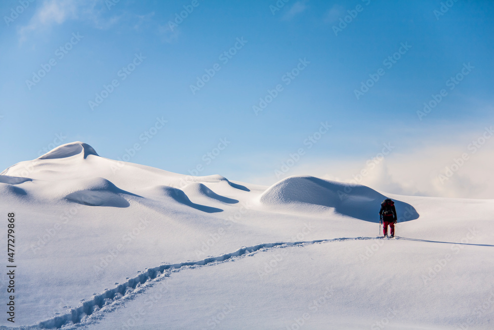 Fototapeta premium Winter in Lofoten Islands, Northern Norway