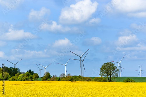 Windmill farm in Poland. Wind park and rapeseed field, panorama.