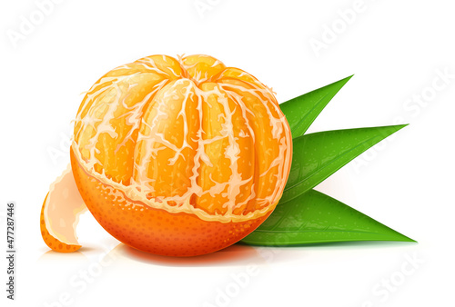 Mandarin. Tangerine. Sweet, ripe, fresh fruit. Isolated on white background. Eps10 vector illustration.