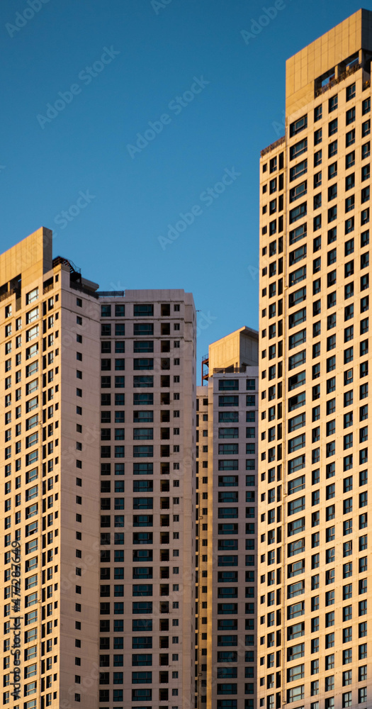 Fototapeta premium building