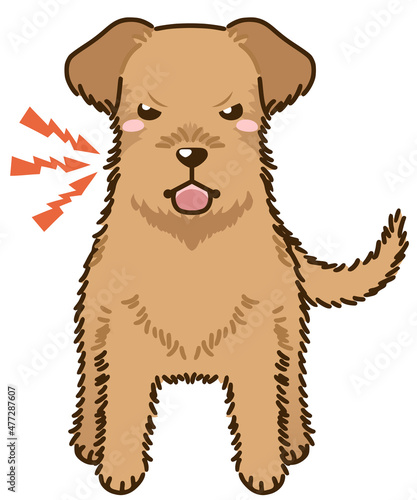 威嚇するアイリッシュテリア