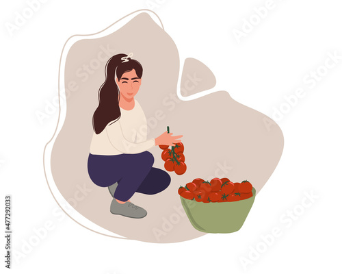 Happy woman gardener or farmer holds a bunch of tomatoes in her hand and shows the harvest. Bucket with harvested tomatoes. Agriculture and autumn concept. Flat vector