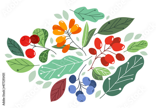 Wild berries fresh and ripe tasty healthy food with leaves vector flat style illustration isolated over white, delicious vegetation diet eating, nature gifts.