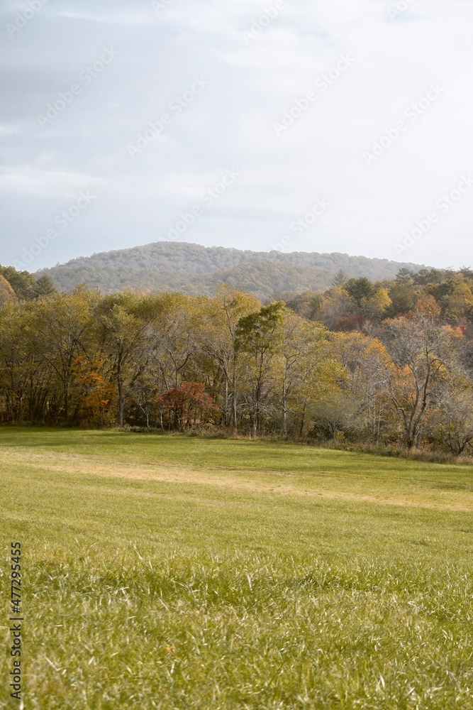 Mountain landscape in the autumn countryside