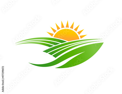 Sunnny Filelds leaf design logo illustration