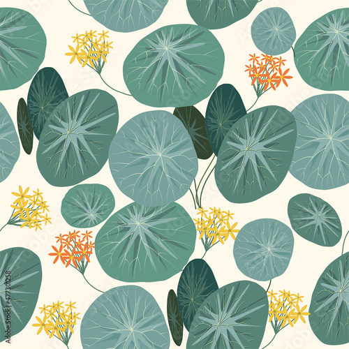 Seamless pattern of stephania erecta craib and flowers, vector background photo