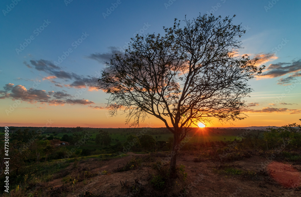 Pôr do sol sobre uma montanha com céu colorido e uma árvore em destaque em Minas Gerais, Brasil.