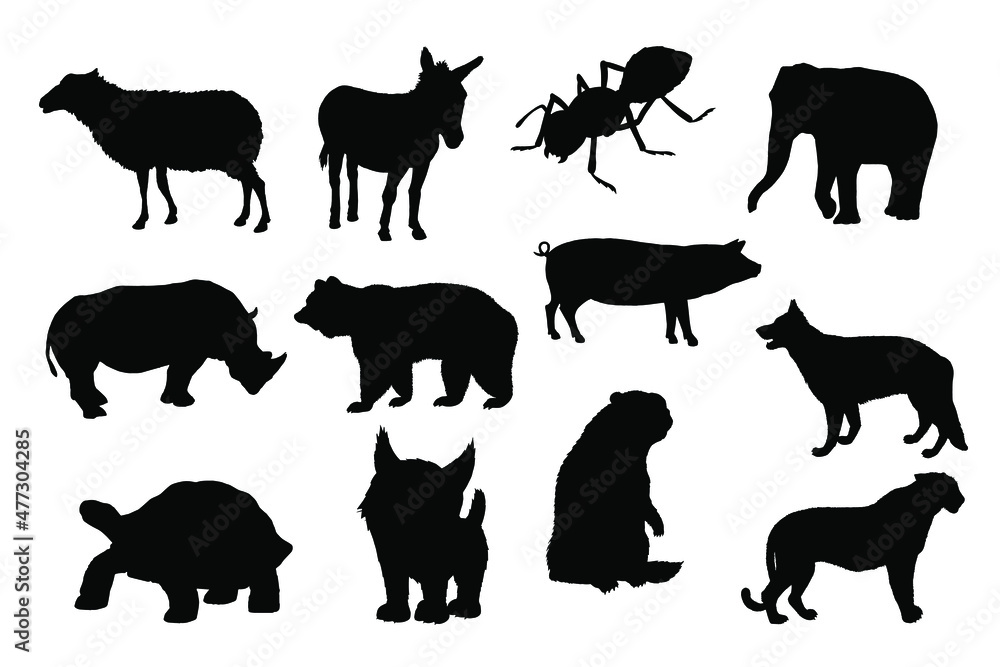 Obraz premium Silhouettes, wild and pet animals. Vector.