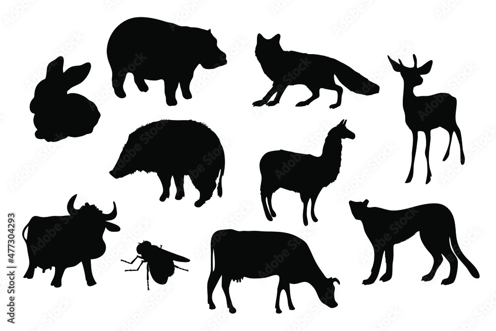 Silhouettes, wild and pet animals. Vector.