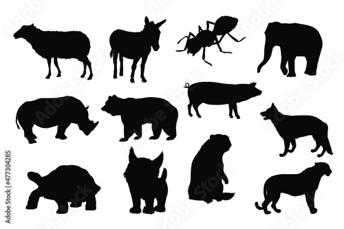 Silhouettes  wild and pet animals. Vector.