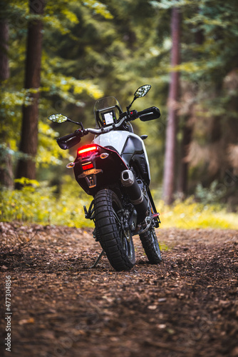 Reiseenduro im herbstlichen Wald