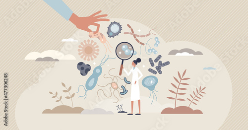 Bacteriology as biology branch with bacteria research tiny person concept. Scientific microbiology study with microorganisms growth and analysis vector illustration. Medicine scientist in laboratory.