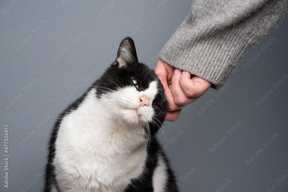 image to crop