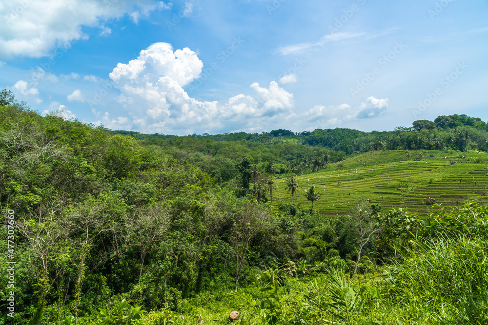 Great views of green forests and rice fields when the weather is clear the sky is blue