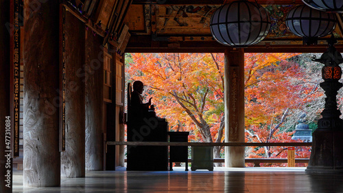 Quadro su tela 木仏と紅葉