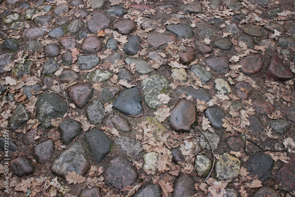 Stone paving and fallen oak leaves Stone paving and fallen oak leaves