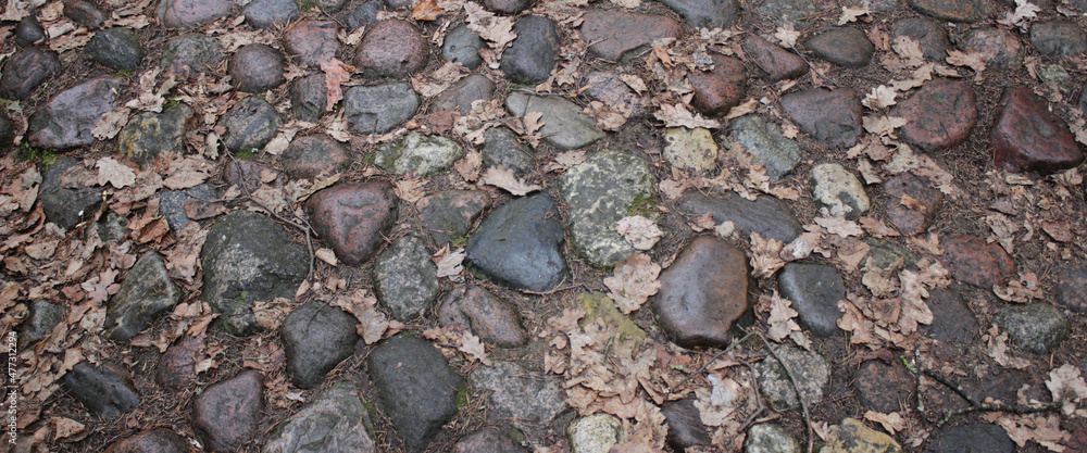 Stone paving and fallen oak leaves Stone paving and fallen oak leaves