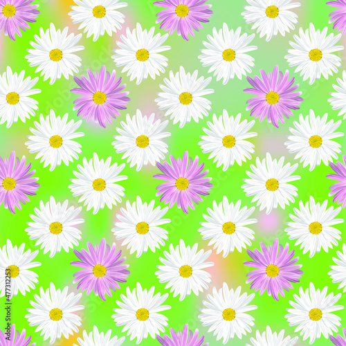 The chamomile flower. Seamless floral texture alternating white daisies in the shape of a square with purple daisies on a green abstract background, geometric pattern, vector © Slavenya