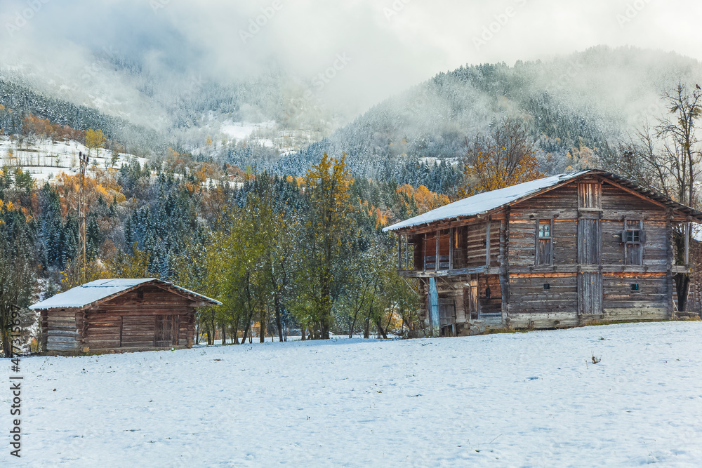 Snow in the Autumn Season, Savsat Artvin, Turkey