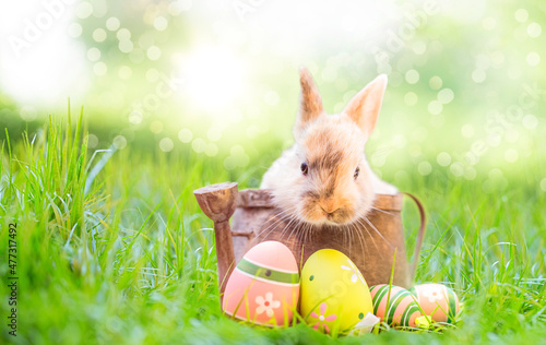 Easter bunny with easter eggs.