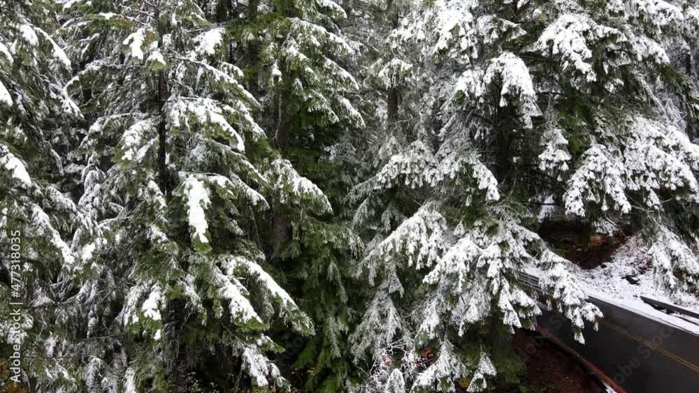 It's a winter wonderland. Flying over a fresh snow covered forest in Oregon