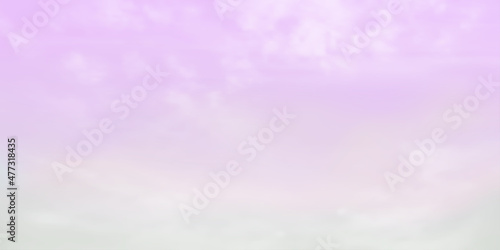 Panorama Clear and soft purple sky and white cloud detail  with copy space. Sky Landscape Background. Summer heaven with colorful clearing sky. Vector illustration. Sky clouds background. © vensto