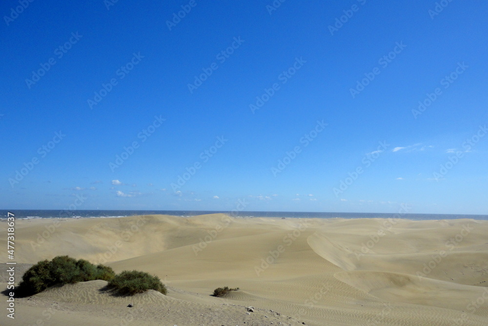 The great desert Dunas de Maspalomas in Gran Canary The great desert Dunas de Maspalomas in Gran Canary