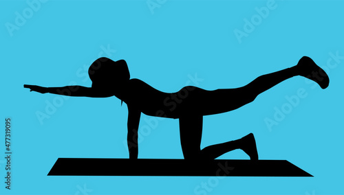 Portrait of a fit woman in a plank pose. Healthy young woman doing a cardio workout and high-intensity interval training at the gym