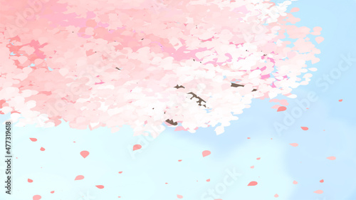 blossom spring tree pink background wallpaper