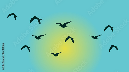 Birds silhouettes in blue sky with sunlight, Set of flying birds