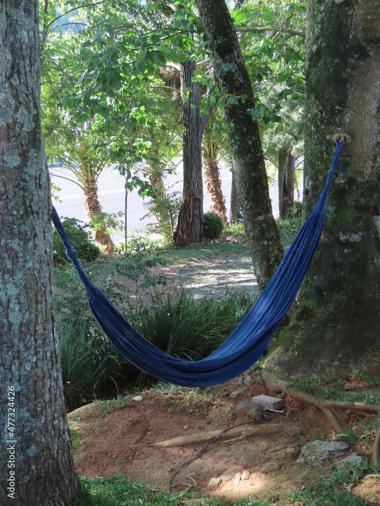 hammock in the forest