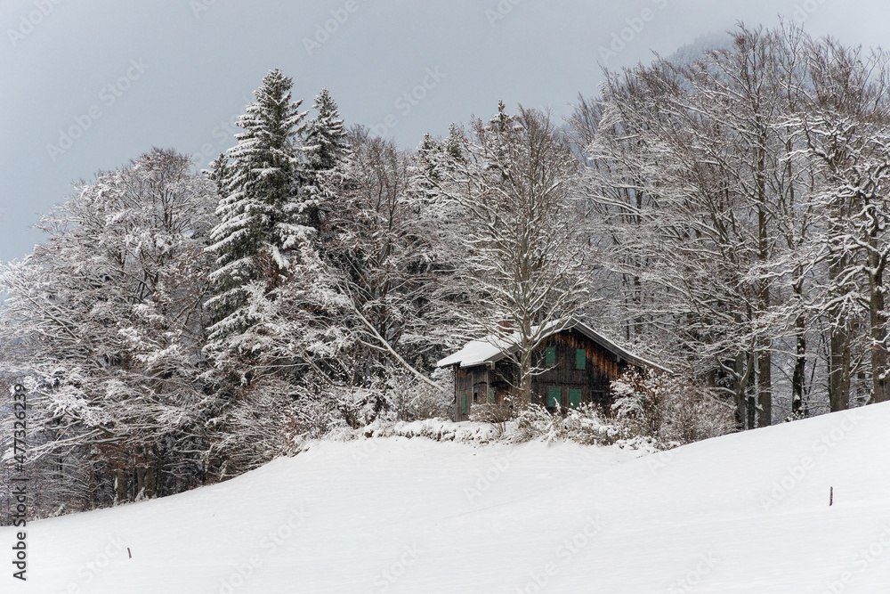 verschneites Holzhaus am Waldrand in den Bergen
