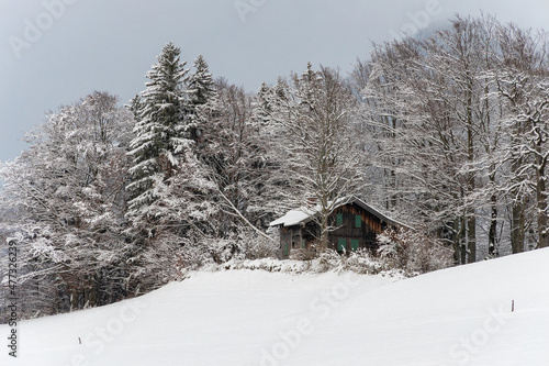 verschneites Holzhaus am Waldrand in den Bergen © Christian Bullinger